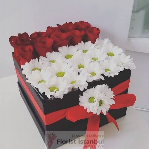 10 rote Rosen und Gänseblümchen in einer Schachtel Resim 1