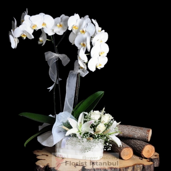 White Orchids, Lilies and White Roses Resim 1