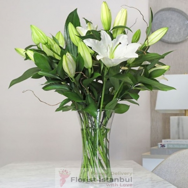 16 Lilien in Vase