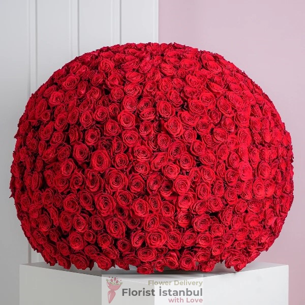 500 Rose Arrangement Resim 1