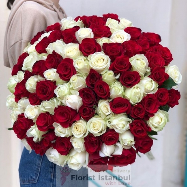Rot-weißer Rosenstrauß 100 Rosen Resim 1