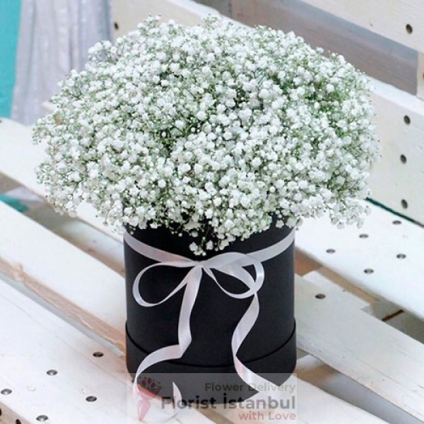 Gypsophilia Arrangement in einer Box Resim 1