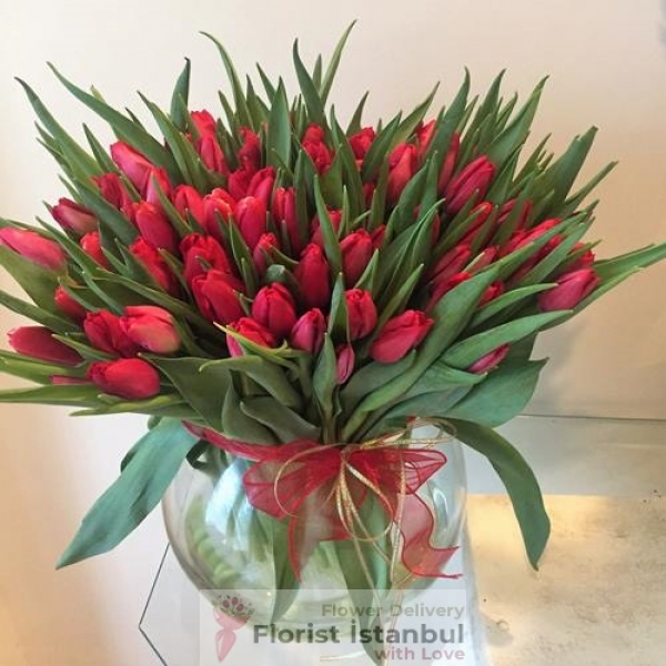 Vase mit 50 roten Tulpen Resim 1