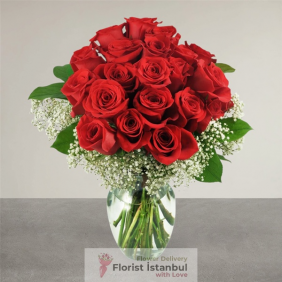  İstanbul Blumenbestellung 20 rote Rosen in Vase