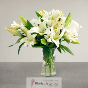  İstanbul Blumen 16 Lilien in Vase