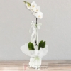 product-nav-img