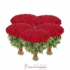 product-nav-img