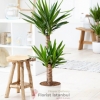 product-nav-img