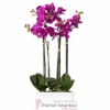product-nav-img