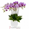 product-nav-img